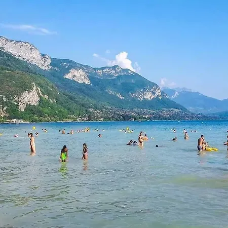 Armonia 5 Etoiles Avec Piscine Chauffee Jacuzzi Et Jardin A 3mn Du D Annecy Villa Doussard