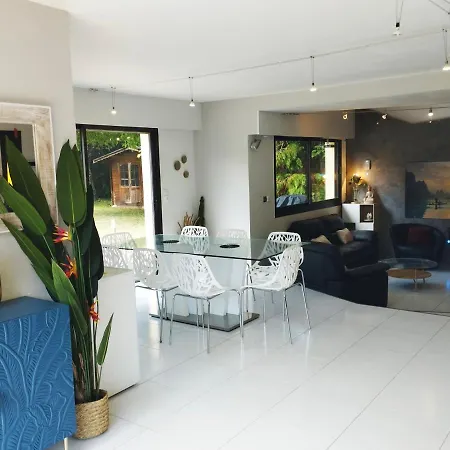 Armonia 5 Etoiles Avec Piscine Chauffee Jacuzzi Et Jardin A 3mn Du D Annecy Villa